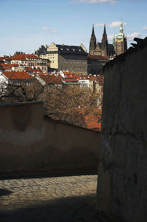 Pražský hrad z Petřína