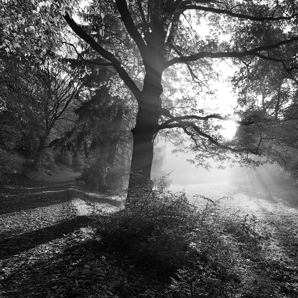 Průhonický park