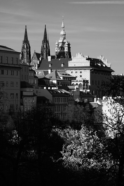 Schwarzenberský palác