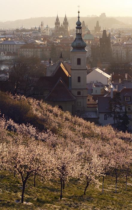 Pražské jaro